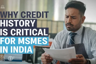 Credit history for MSMEs