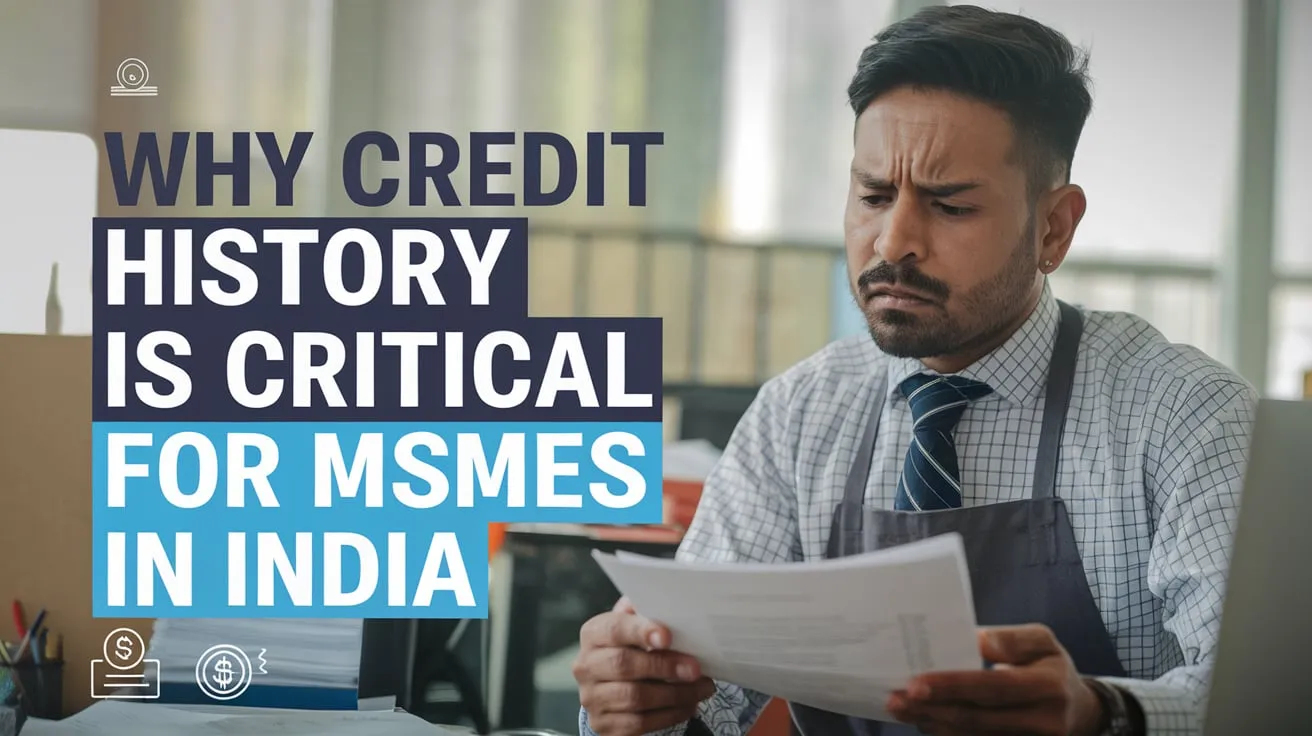 Credit history for MSMEs