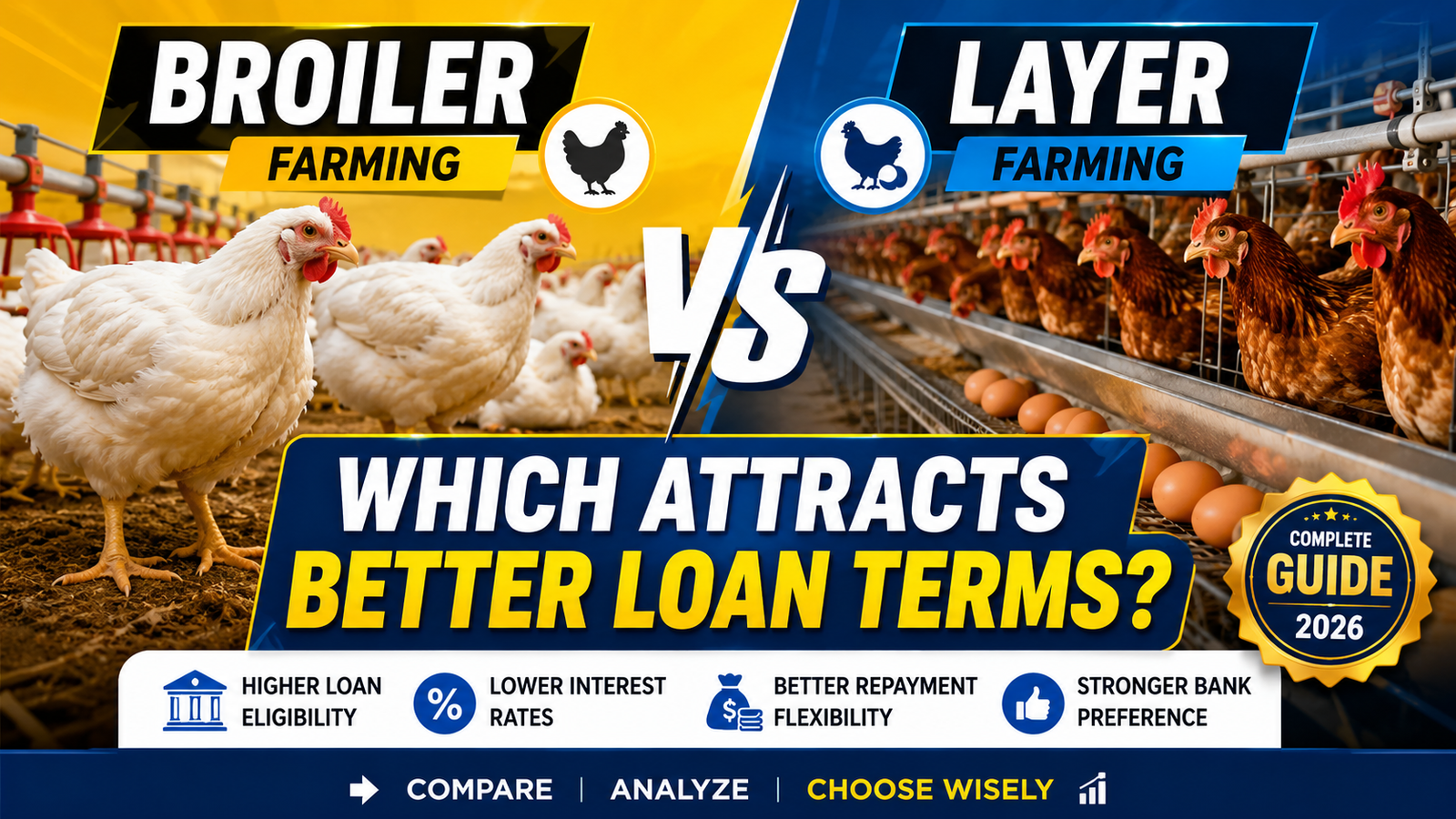 Broiler vs Layer Farming: Which Attracts Better Loan Terms? — CreditCares Guide