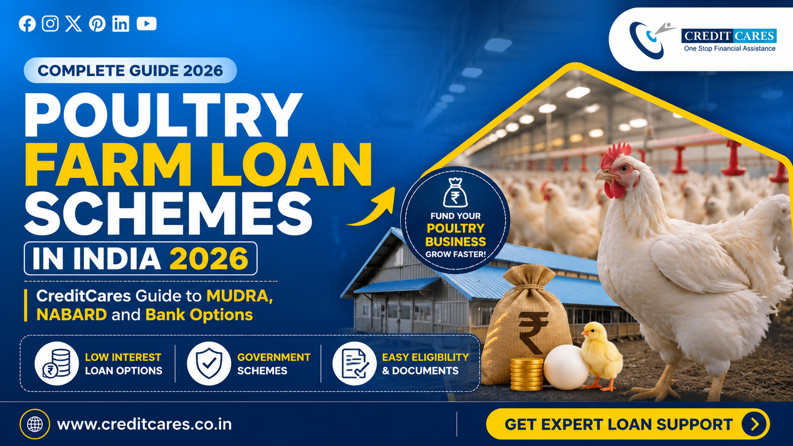 Poultry Farm Loan Schemes in India 2026: CreditCares Guide to MUDRA, NABARD and Bank Options
